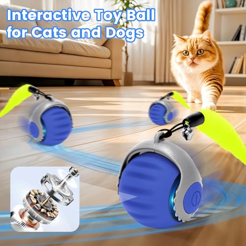 Jouet pour Chat, Jouet Balle Interactif pour Chat, Jouet Chats Intérieur, avec Queue Duveteuse, Balle Roulante Automatique pour Chats, Charg (Bleu-1pcs) – Image 5
