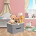EZ GENERATION Storage Bins Set,Storage Baskets Pack of 2 Foldable Storage Boxes Cubes with Lids, Fabric Storage Bin Organizer Collapsible Box Containers for Nursery,Closet,Bedroom,Home(Light Gray)
