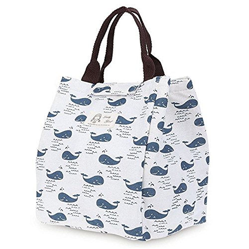 ITemer, borsetta porta pranzo in tela, borsa da