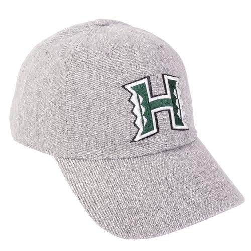Desert Cactus University of Hawaii Baseball Hat Rainbow Warriors UH Brimmed Embroidered Hats Cap Adjustable Cloth Strap Adult (Style B)