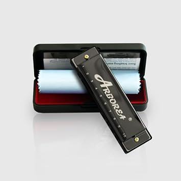 Arborea Blues C Key Harmonica with Case for Beginners and Adults 10 Hole 20 Tone Mouth Organ Stainless Steel Black