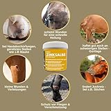Zinksalbe Pferd Hund 0,25ml Wund Zink Salbe bei Wunder Haut mit Zinkoxid I Wund- Und Heilsalbe für Hunde Katzen Tiere I Wundsalbe | Wundheil Zink Creme zur Unterstützung der Heilung Wunden Juckreiz