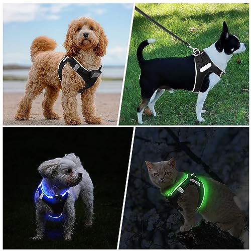 PcEoTllar Hundegeschirr Leuchtend, Leuchtgeschirr LED Aufladbar & Reflektierendes, Beleuchtetes Leuchtgeschirr für Welpe Klein Mittlere Hund, Atmungsaktiv Leucht Geschirr, Schwarz Blau-XS