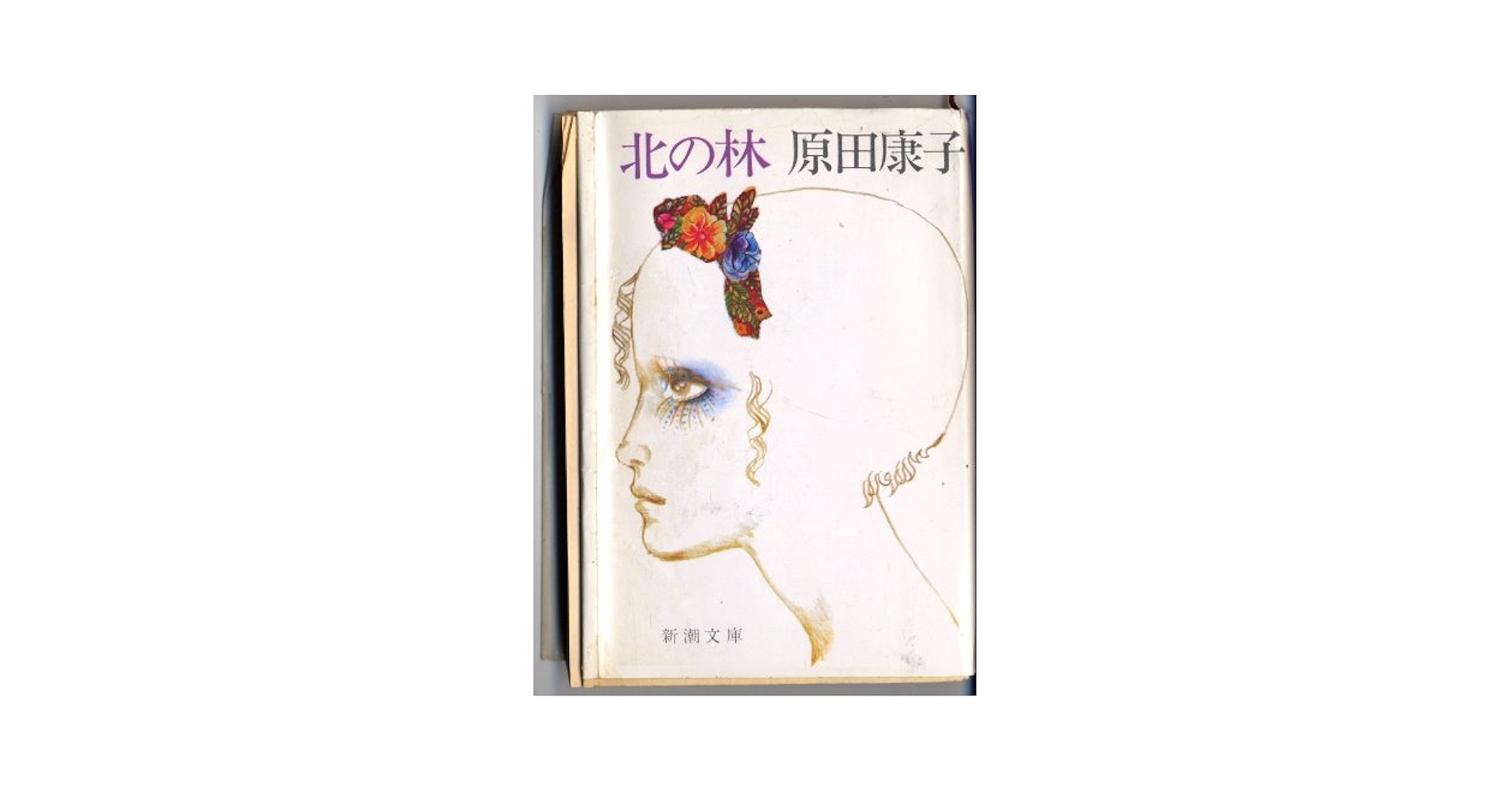 Amazon.co.jp: 北の林 (新潮文庫 は 3-2) : 原田 康子: 本