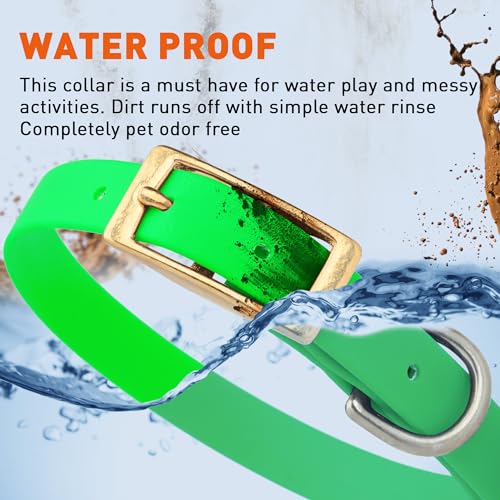 Image of Viper Biothane Heavy Duty Waterproof Dog Collar Strong Coated Nylon Webbing w /Solid Brass Hardware Odor-Proof Easy to Clean High Performance Fits Small Medium or Large Dogs, Tropical Green