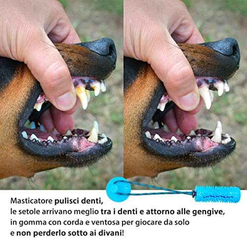 Set Giochi per Cani, da Masticare, Anti Stress