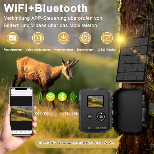 Mucxtaim Solar Wildkamera 5K/64MP WLAN, mit 10000mAh Wiederaufladbarem Akku – Ansicht 3