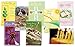 WalterDrake Christian Birthday Cards - Set Of 24
