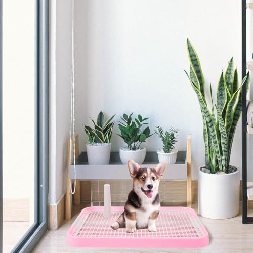Toilettes structure deux couches avec grille détachable pour chiot