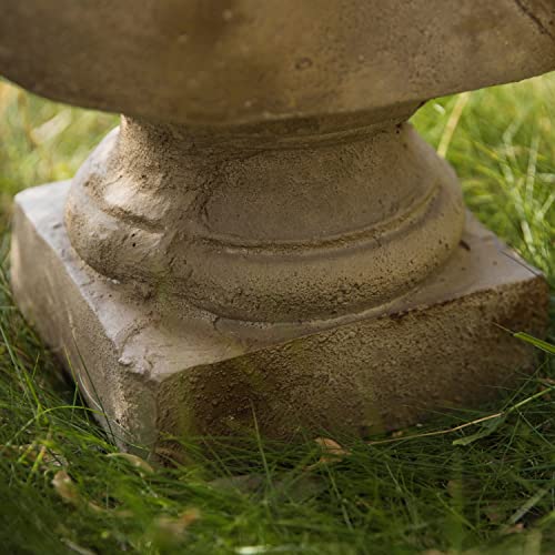 Apollo Bust Indoor Outdoor Statue H31.1Inch Entryway Hallway Decorative Figurine Sculpture Patio Yard Vintage David Pythian Apollo Belvedere Statue #TOP5