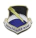 325th Fighter Wing Patch â€“ Plastic Backing