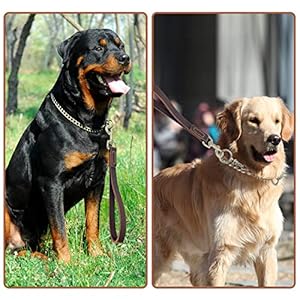 Leather-Short-Dog-Lead-Strong-Traffic-Pet-Lead-with-360o-Heavy-Duty-Metal-Hook-Short-Dog-Leash-for-Big-Large-Medium-Dogs-Training-and-Walking - Cucciolini Doodles   Leather-Short-Dog-Lead-Strong-Traffic-Pet-Lead-with-360o-Heavy-Duty-Metal-Hook-Short-Dog-Leash-for-Big-Large-Medium-Dogs-Training-and-Walking