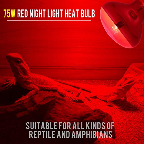 Aomryom 75W Infrared Basking Spot Heat Lamp Bulb Red Light Heat Bulbs For Pet Lizards Bearded Dragons Chameleons Snakes Reptiles & Amphibians - 2 Pack #TOP2