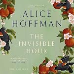 Cover of The Invisible Hour