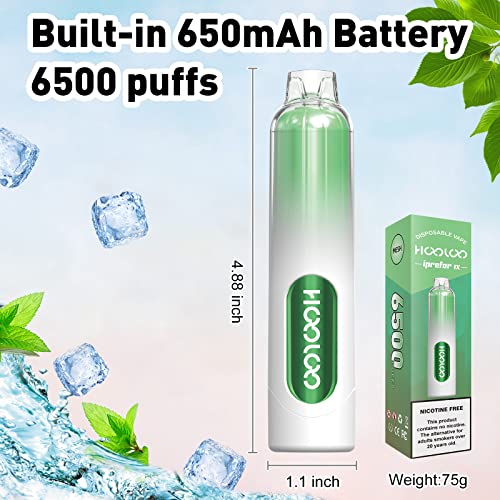 HOOLOO-Disposable-Vape-Pen-E-Cigarette-Starter-Kit-6500-Puffs-Rechargeable-Prefilled-Vape-Juice-Prefilled-and-Precharged-E-Cigarettes-Vape-Starter-Kit0mg-No-Nicotine-Mint