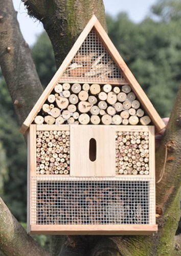 iapyx® Insektenhotel, Nistkasten und Bruthilfe, Tannenholz – Bild 5