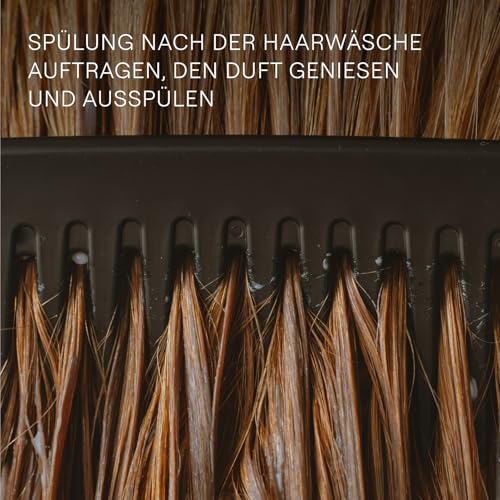 WELEDA Bio Rosmarin Revitalising Conditioner - Naturkosmetik Haarpflege Spülung mit Jojobaöl, Rosmarinöl & Arginin für natürlichen Glanz & Volumen. Haarspülung ohne Silikone & Sulfate (vegan, 150ml)