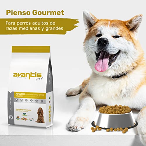 Avantis Pet Gourmet Futter für ausgewachsene Hunde mittlerer und großer Rassen, 15 kg, sehr nährstoffreich mit Lamm und Reis