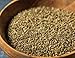 Birch & Meadow Ground Celery Seed, 6.7 oz, Aromatic Flavor, Brine Seasoning & Pickling Spices