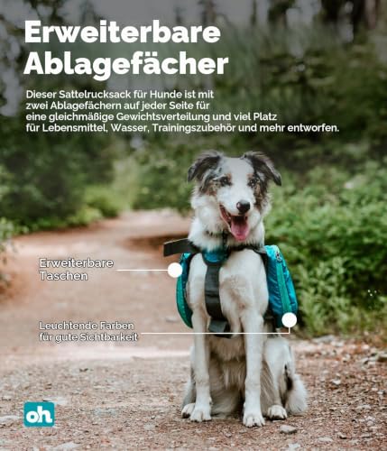 Kyjen 22005 Outward Hound DayPak Hunde-Rucksack Tasche im Satteltaschenstil, verstellbar, Größe L, blau
