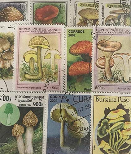 IHCIHC ~ 25 DIFF. MASHROOM Stamps LOT ~ Good for COLECTION