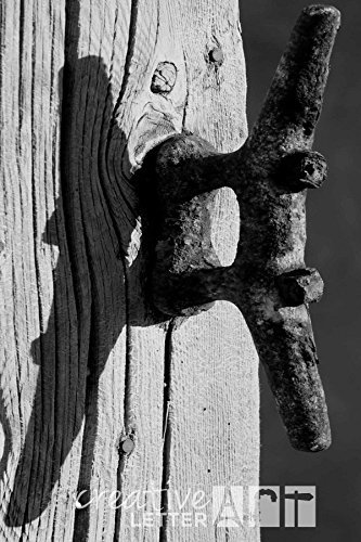 Kookaburra Turf White Official ODI And T20 Cricket Ball,- Buy Kookaburra Turf Wh