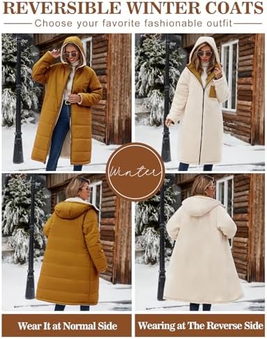Winterjas Dames - Parka Dames - Nederland