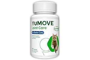 Joint Care for Senior Cats: Essential Support for Your Feline Friend
