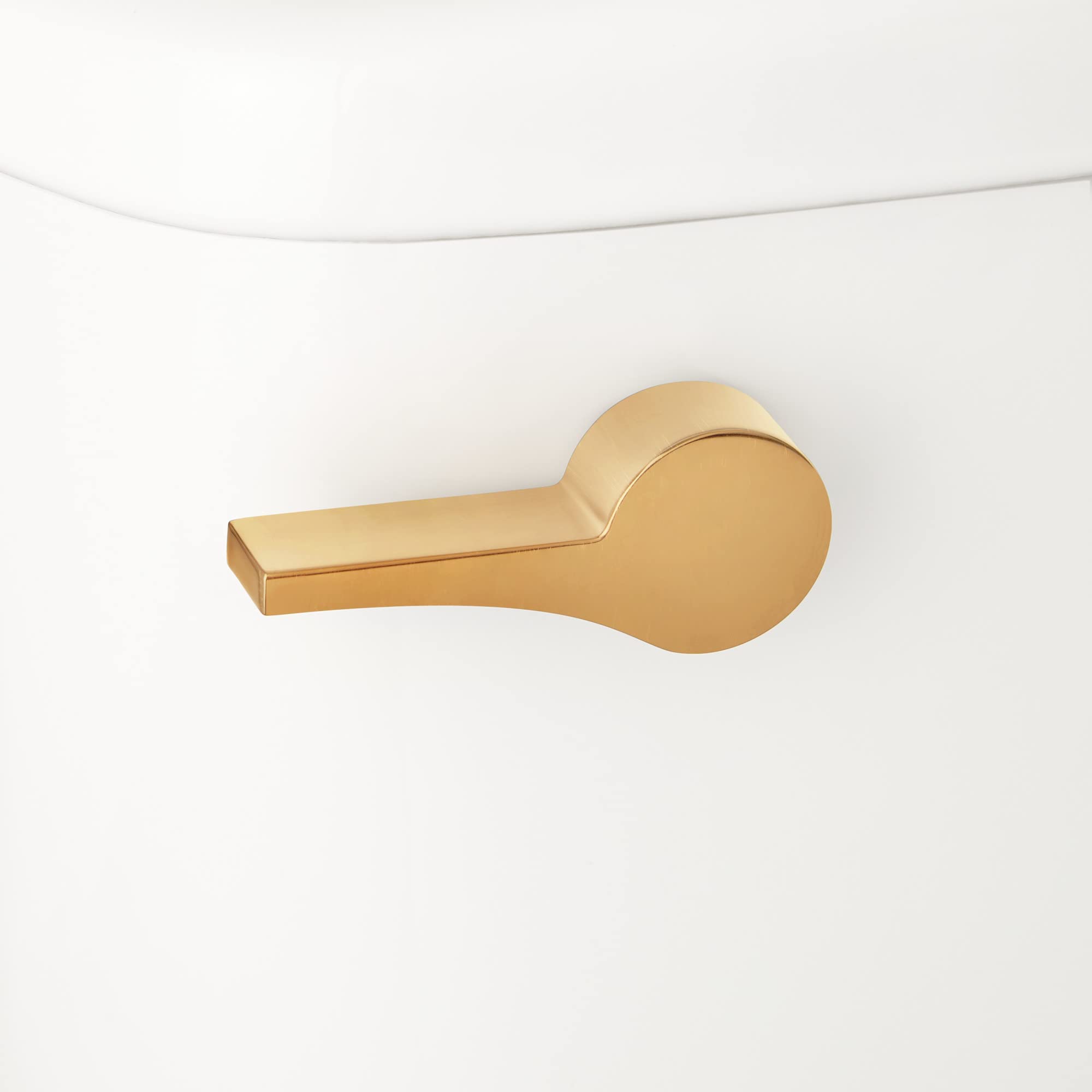 Signature Hardware 484644 Bradenton Toilet Tank Lever - Brushed