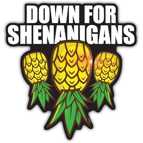 Down for Shenanigans Upside Down Pineapple Magnet for Cruise Door, Refrigerator and Car Bumper, Swinger Lifestyle Gifts, Size 4in Cover