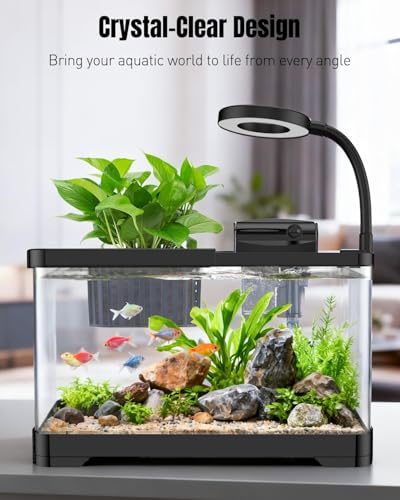 Pawfly 2 Gallon Fish Tank, Small Aquarium Kit, Betta Fish Tank Starter Kit with 6 W LED Light, 65 GPH Filter, Siphon Vacuum Water Changer & Basket, Aquarium for Betta, Shrim, or Small Fishes - Image 4