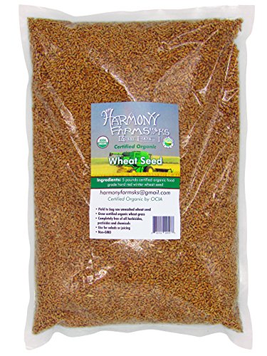 Certified Organic Hard Red Winter Wheat Seed Berries 5 pound bag Excellent