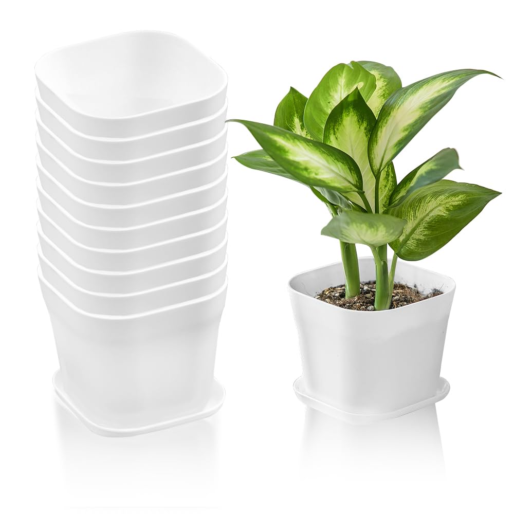 HEKOBAG 10 Macetas Blancas Cuadradas Pequeñas con Platillos, Macetero Cuadrado Pequeño de Plástico, Maceta de Vivero de Plántulas con Platillos, Modernas Macetas de Plástico Decorativas para Plantas