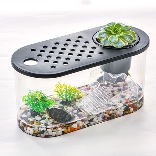 Small Turtle Tank Kit, Reptile Aquarium with Basking Platform, Decor Stones & Water Grass – Habitat for Turtles, Hermit Crabs, Fish – Ideal for Home or Office (12' x 6' x 12')