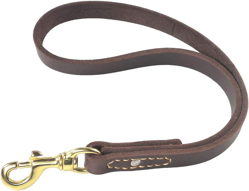 JUPUDA Leather Short Dog Leash Training 16" x 3/4" Traffic Lead for Large Dogs