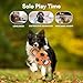 ALL FOR PAWS Ballistic Handle Ball Dog Toy with Squeaker, Interactive Handle Tug of War Ball Toy for Small Medium Large Dogs (Receive one of The Three Colors)