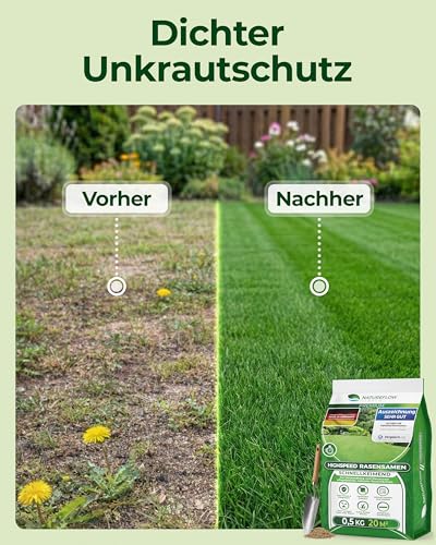 Rasensamen Schnellkeimend Frühjahr – TEST SEHR GUT – Grassamen Schnellkeimend für Rasen & Rasen Nachsaat 0,5 kg für 20 qm – Rasensaat für Nachsaat Rasen Frühjahr, Saisonstart, kräftiges Wachstum