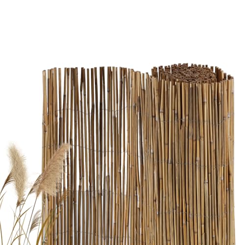 Jaxguom Brise-vue en roseau - 100 x 600 cm - Pour balcon, terrasse, jardin - Brise-vue et brise-vue - Bandes brise-vue naturelles - Protection contre le vent...