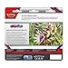 Pokemon TCG: Scarlet & Violet 3-Pack Blister (Random Promo)