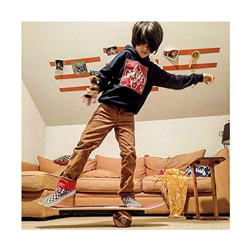 希少 VEW-DO バランスボード Amazon | Vew-Do Zippy Balance Board with Rock | Vew-Do