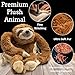 Lulumaia Cozy Sloth Comfort Bundle - Ultra Soft Wearable Blanket Hoodie & Sloth Stuffed Animal Heating Pads - Snuggle-Perfect Sherpa Hoodie and Soothing Plush Sloth for All Ages