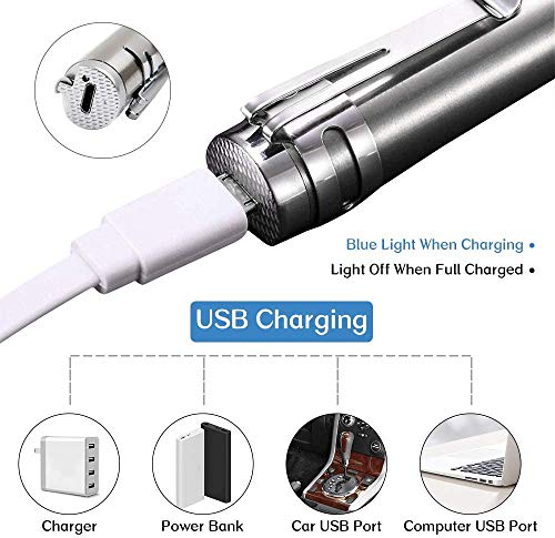 XURLEQ Cat Toys for Indoor Cats, Funny Cat Laser Pointer, Pet Toys for Kitten Indoor Playing with USB Charging Cable (1 PCS)