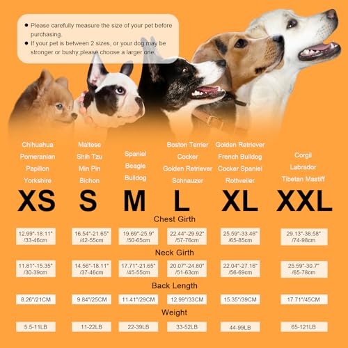 ASENKU Schwimmweste Hund Mittel L,Verstellbar & Ripstop Hundeschwimmweste,Rettungsweste für Hunde mit Griff und Reflektierend, Hunde Schwimmweste für Chihuahua,Dackel,Französische Bulldogge, Labrador – Bild 6