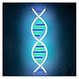 Caractéristiques : Cette enseigne lumineuse au néon ajoute une touche de dynamisme à votre pièce. Elle attire facilement l'attention et ajoute de la couleur à la décoration de la pièce.