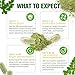 Moringa Capsules,Moringa Capsules Organic,Pure Moringa Powder Organic Supports Energy, Skin Health