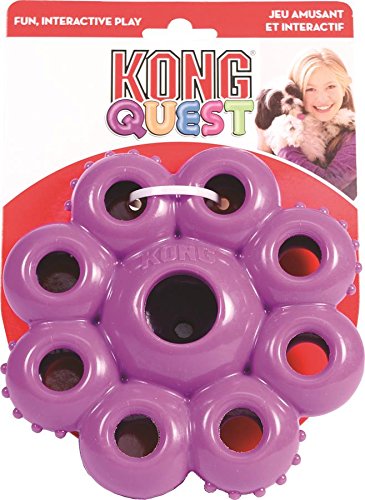 kong quest