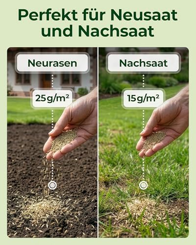 Rasensamen Schnellkeimend Frühjahr – TEST SEHR GUT – Grassamen Schnellkeimend für Rasen & Rasen Nachsaat 1kg 40qm – Rasensaat für Nachsaat Rasen Frühjahr, Saisonstart, kräftiges Wachstum