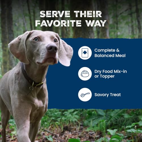 Blue Buffalo Wilderness Turkey & Chicken Senior Wet Dog Food, 12.5 oz, 12pk | 28g Protein, Real Turkey #1 Ingredient, Grain-Free & High Protein, Supports Joint Health & Muscle Maintenance - image 8