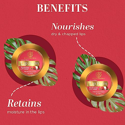 Khadi Natural Lychee Lip Balm with Beeswax and Shea Butter | Lip Balm for Soft & Hydrated Lips | Lip Balm for Chapped Lips | Free from Harsh... - Image 2
