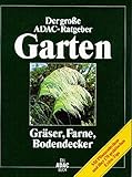 (ADAC) Der Große ADAC Ratgeber Garten, Gräser, Farne, Bodendecker (Der grosse ADAC-Ratgeber Garten)